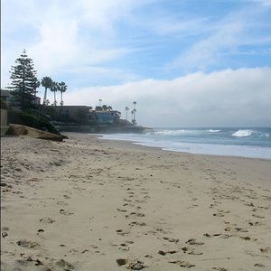 Meet your Posher, Sandy